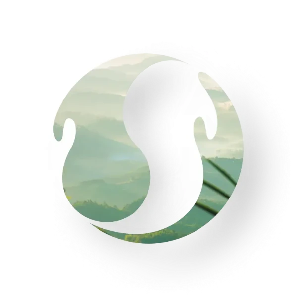 Logo d'InnerFlow évoquant un paysage serein enveloppé de nuages, symbolisant tranquillité et renouveau.